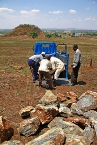 4 Collecting leoprard rock